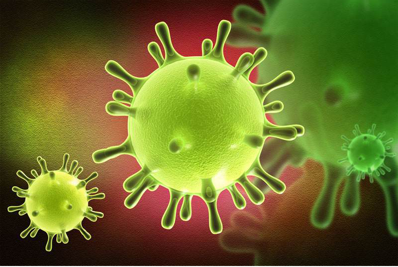 冠状病毒与新型冠状病毒