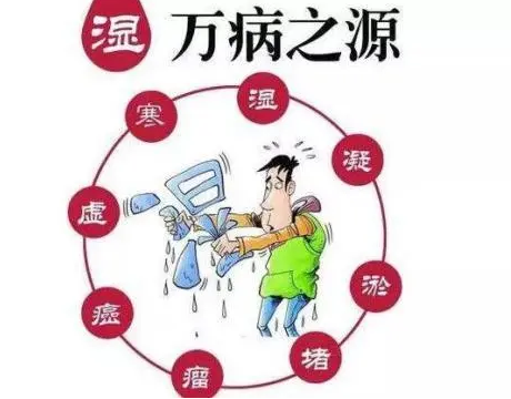 排寒湿图片,寒湿图片,寒湿淤堵图片(第2页)_大山谷图库